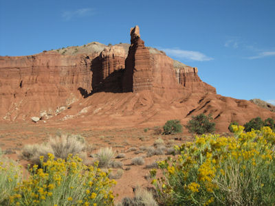 NPS Image