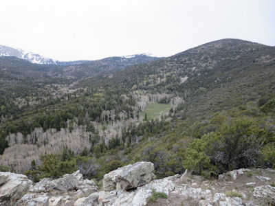 NPS Image