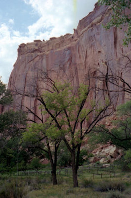 NPS Image