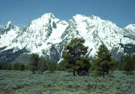 NPS Image