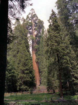 NPS Image