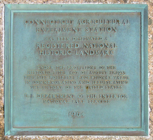 Plaque