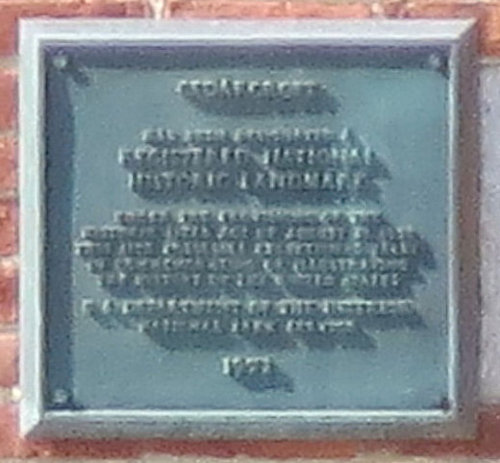 Plaque