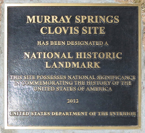 Plaque