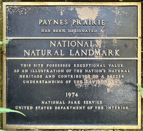 Plaque