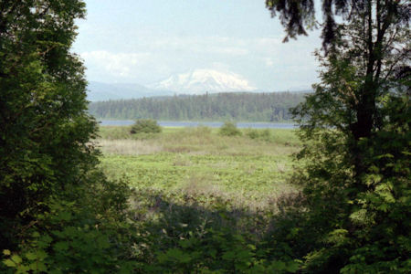 USFS Image