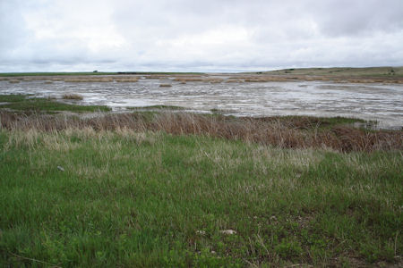 USFWS Image
