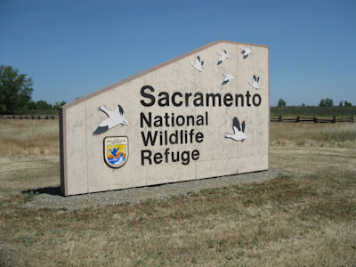USFWS Image
