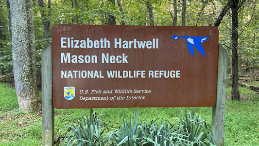 USFWS Image