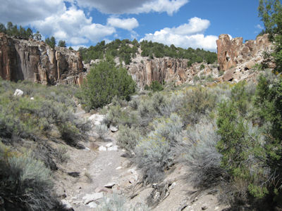 NPS Image