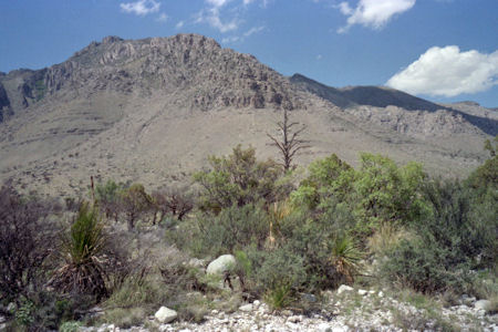 NPS Image