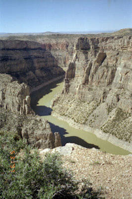 NPS Image