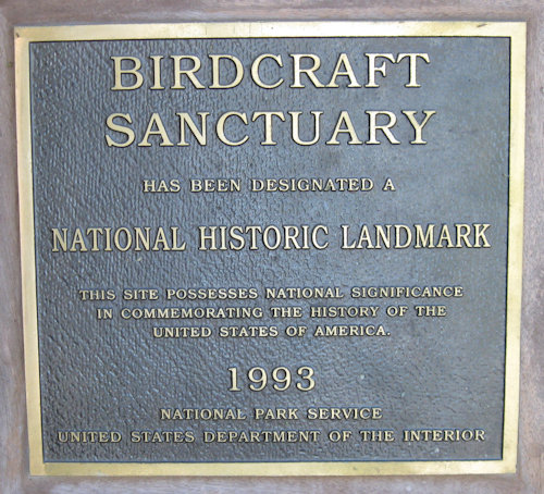 Plaque