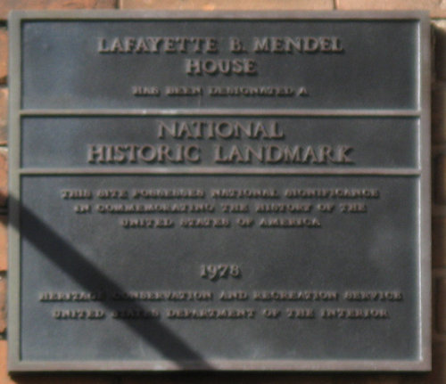 Plaque