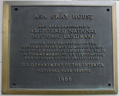 Plaque