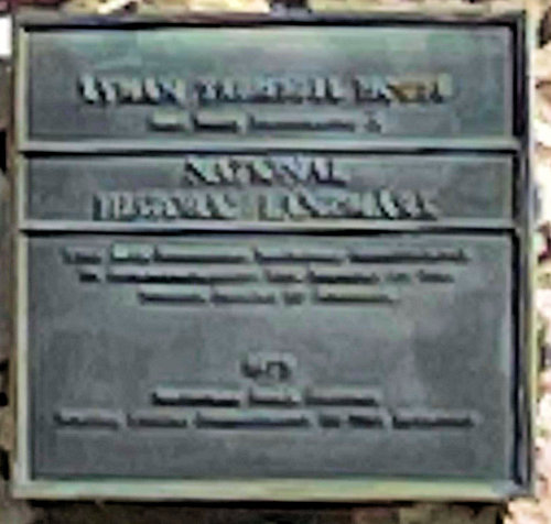 Plaque