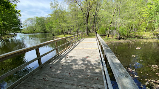 State Park Image