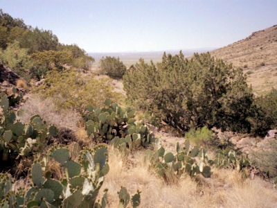 State Park Image