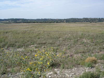 USFWS Image