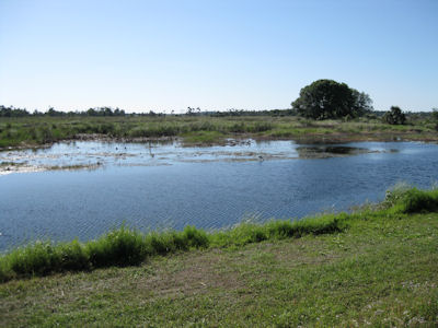 USFWS Image