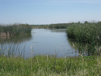 USFWS Image