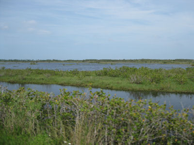 USFWS Image