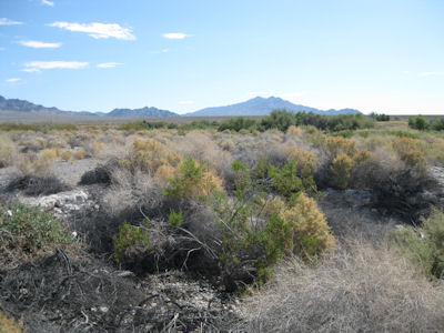 USFWS Image